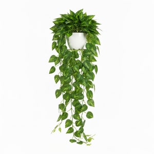 1.5m artificial pothos plant