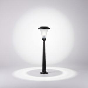 6W solar LED garden light