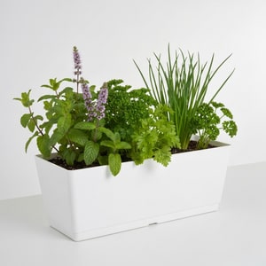 Self-watering balcony planter