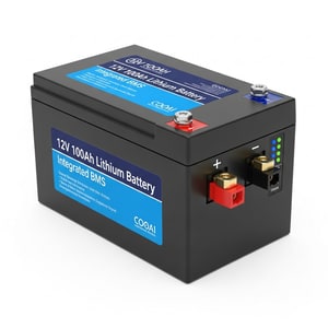 12V 100Ah lithium battery with BMS