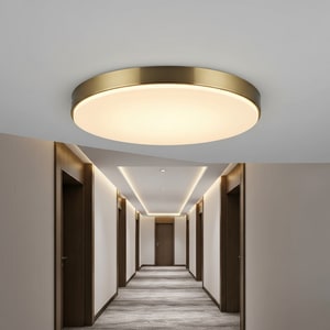 24W gold-trim round ceiling light